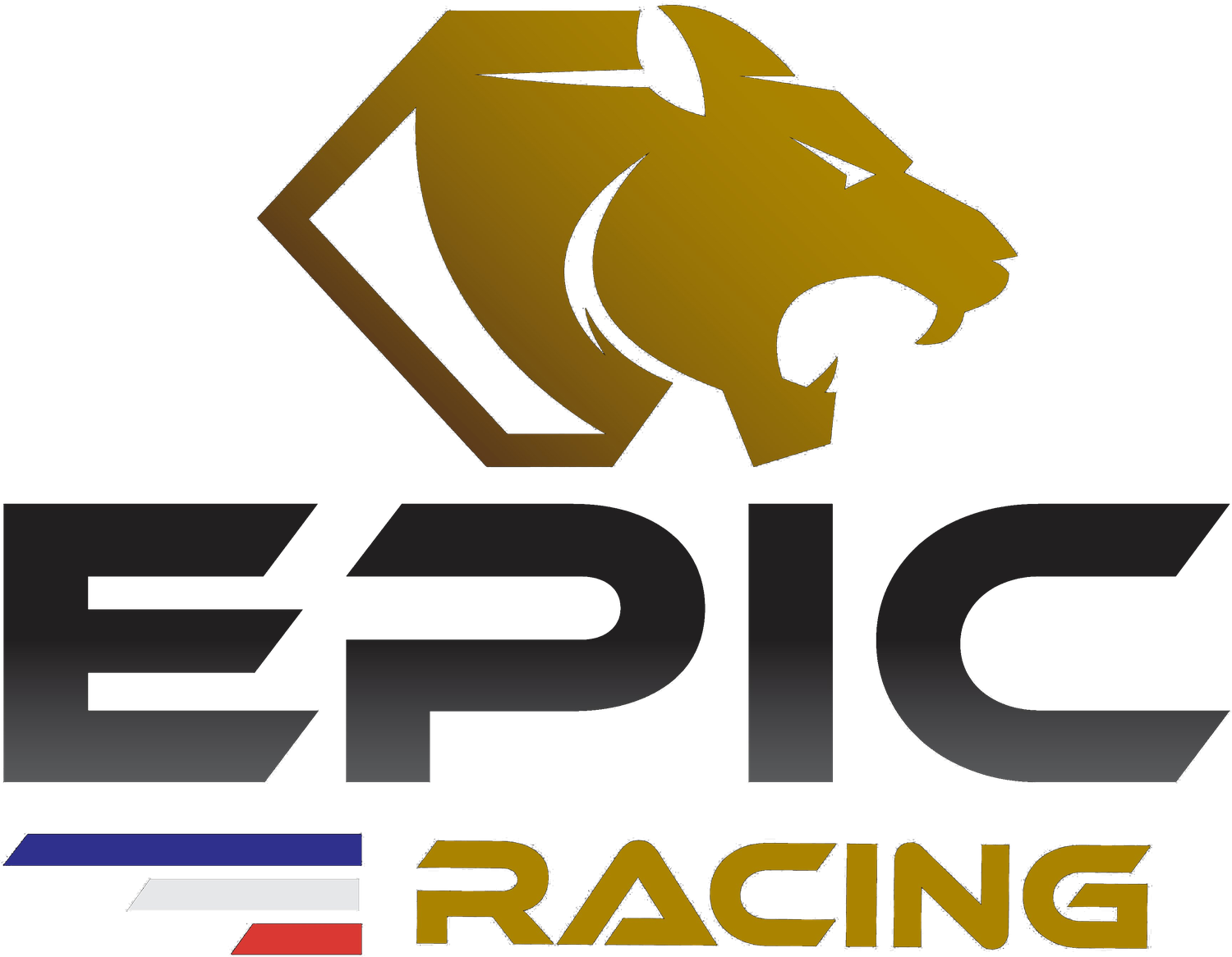 Epic Racing — compétition